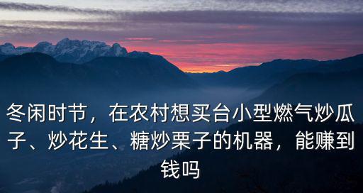 山東小型炒瓜子機器多少錢,糖炒栗子的機器