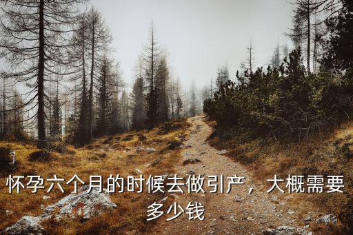 懷孕六個月的時(shí)候去做引產(chǎn)，大概需要多少錢