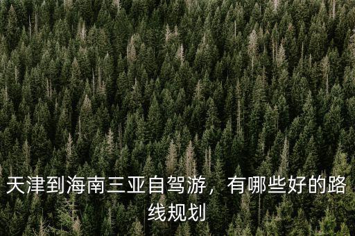 天津到海南三亞自駕游，有哪些好的路線規(guī)劃