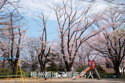 曾憲梓在梅州捐了多少學校,曾捐巨資在梅州興建學校