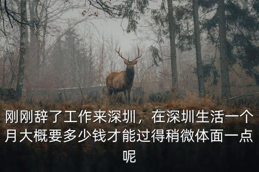 兩英到深圳大概需要多少錢一個月,在深圳養一輛車