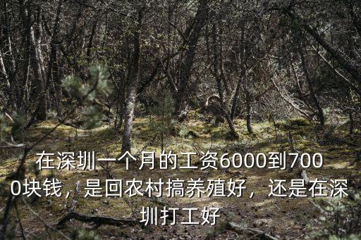 在深圳怎么搞養殖業的,想在農村搞養殖業