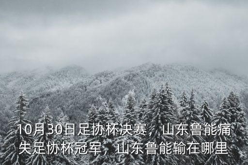 10月30日足協杯決賽，山東魯能痛失足協杯冠軍，山東魯能輸在哪里