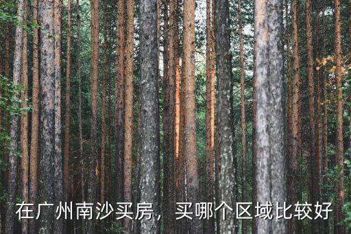 廣州南沙哪里發達,在廣州南沙買房