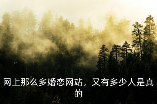 網上那么多婚戀網站，又有多少人是真的
