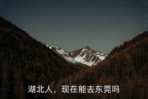 湖北人，現在能去東莞嗎