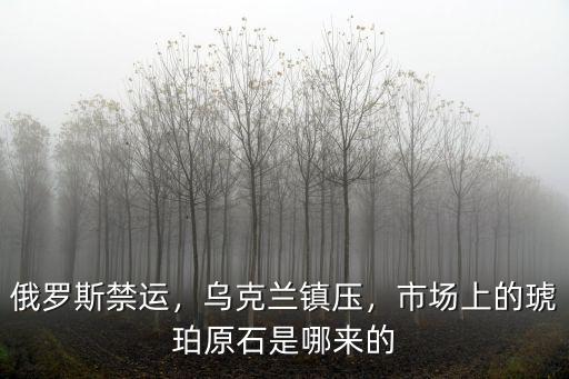 俄羅斯禁運(yùn)，烏克蘭鎮(zhèn)壓，市場(chǎng)上的琥珀原石是哪來(lái)的