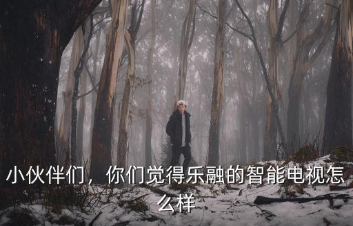 中山樂融怎么樣,樂融超5怎么樣