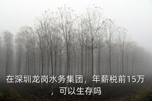 在深圳龍崗水務(wù)集團(tuán)，年薪稅前15萬(wàn)，可以生存嗎