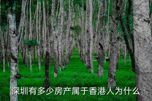 深圳有多少房產屬于香港人為什么