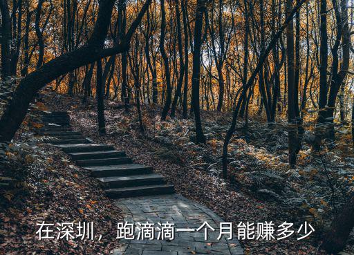深圳滴滴打車一個月能進多少錢,跑滴滴一個月能賺多少