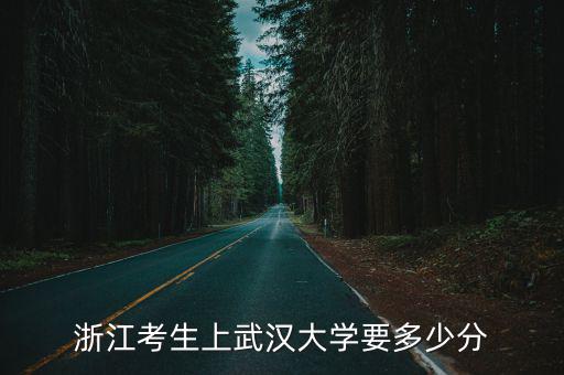 浙江考生上武漢大學(xué)要多少分
