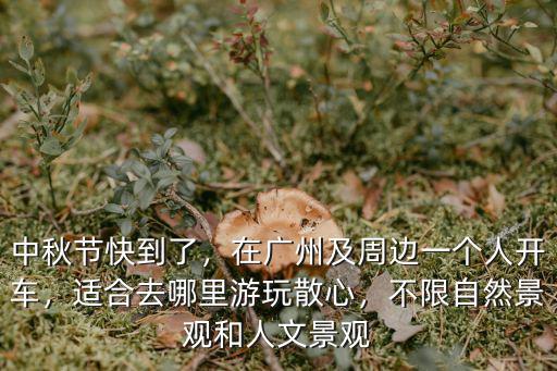 韶關一個人適合開車去哪里,在廣州及周邊一個人開車