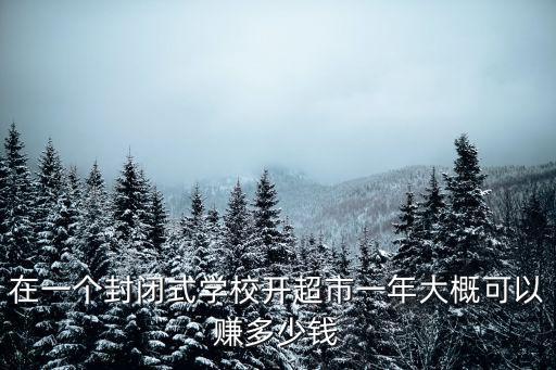 在青島開超市一年能賺多少錢,一年能賺多少錢