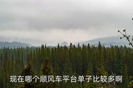 現在哪個順風車平臺單子比較多啊