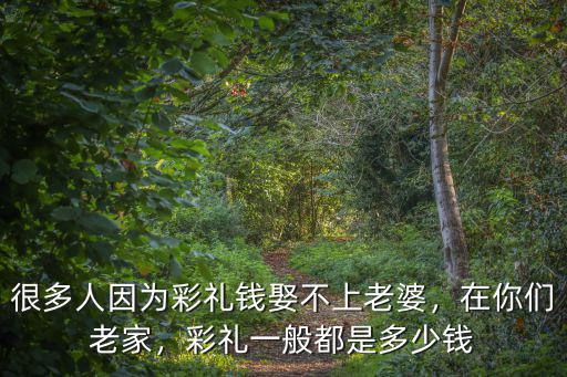 很多人因為彩禮錢娶不上老婆，在你們老家，彩禮一般都是多少錢