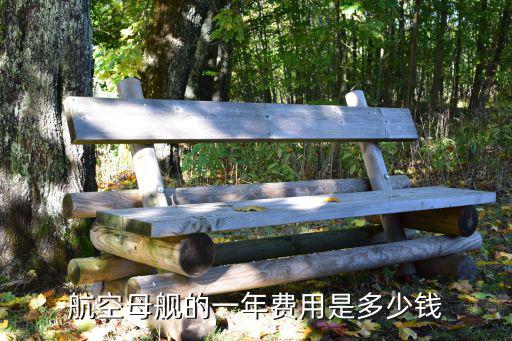 航空母艦的一年費用是多少錢