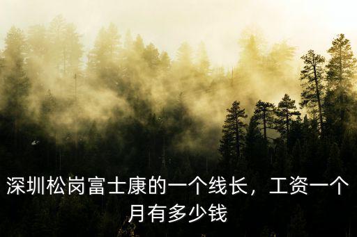 深圳富士康師8工資多少錢一個月多少錢,深圳松崗富士康的一個線長