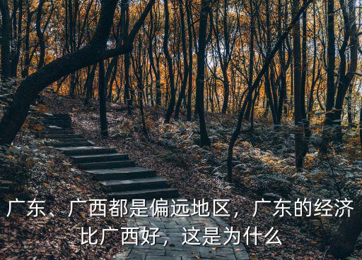 廣西還要多少年才能趕上廣東經濟,廣東的經濟比廣西好