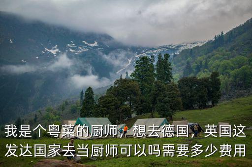 江門粵菜廚師要多少錢,我是個粵菜的廚師