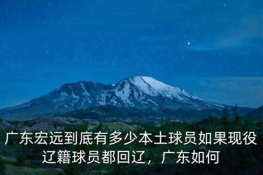 廣東宏遠到底有多少本土球員如果現役遼籍球員都回遼，廣東如何