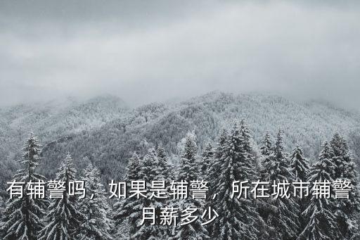 青島市南區輔警工資多少錢,所在城市輔警月薪多少