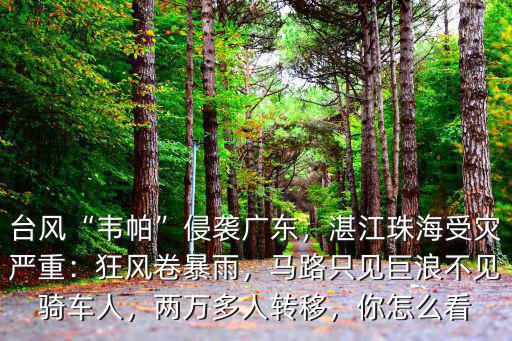 廣東哪里可以看臺風,臺風韋帕侵襲廣東