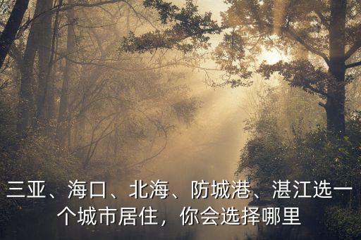 三亞、海口、北海、防城港、湛江選一個城市居住，你會選擇哪里