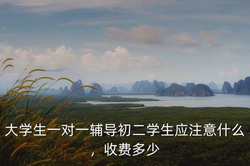 濟寧一對一初二學生多少錢,初三學生一對一補課