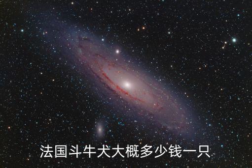 法國斗牛犬大概多少錢一只
