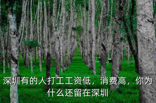 深圳有的人打工工資低，消費高，你為什么還留在深圳