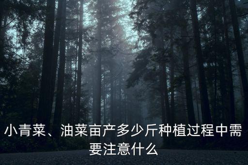 小青菜、油菜畝產(chǎn)多少斤種植過程中需要注意什么