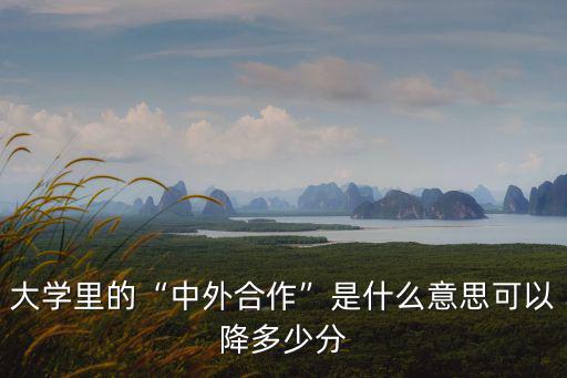 中山大學(xué)中外合作辦學(xué)多少分,大學(xué)里的中外合作是什么意思