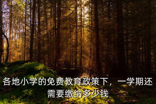 各地小學的免費教育政策下，一學期還需要繳納多少錢