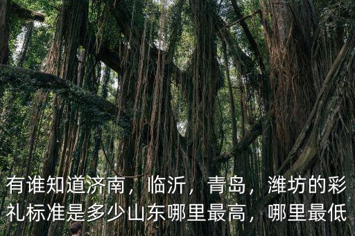 有誰知道濟南，臨沂，青島，濰坊的彩禮標準是多少山東哪里最高，哪里最低