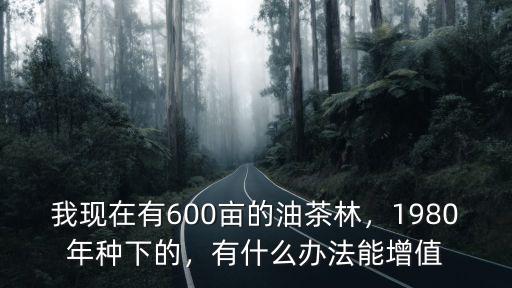我現在有600畝的油茶林，1980年種下的，有什么辦法能增值