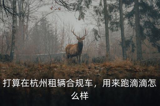 在杭州租車跑滴滴多少錢一個月,用來跑滴滴怎么樣