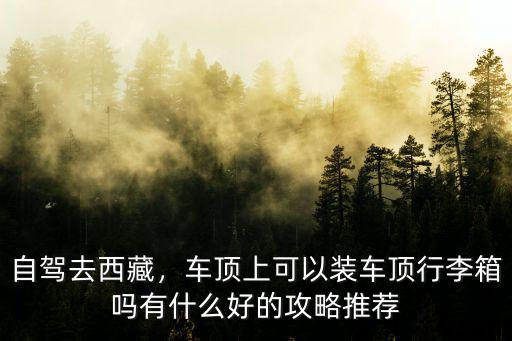 東莞哪里有汽車車頂行李箱賣,車頂上可以裝車頂行李箱嗎