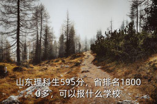 山東理科生595分，省排名18000多，可以報什么學校