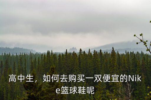 廣州哪里的耐克籃球鞋便宜嗎,雙十一耐克籃球鞋賣300元