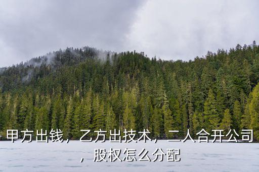 甲方出錢，乙方出技術，二人合開公司，股權怎么分配