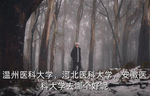 溫州醫科大學招生取分是多少,溫州醫科大學