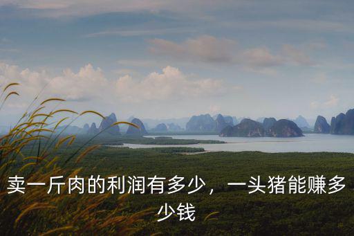 賣一斤肉的利潤有多少，一頭豬能賺多少錢