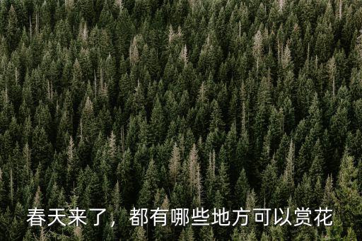 春天湛江哪里可以看花,都有哪些地方可以賞花