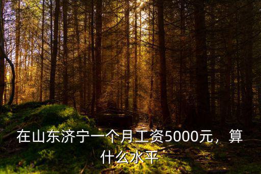 濟寧民警工資多少,基層民警的工資怎么樣