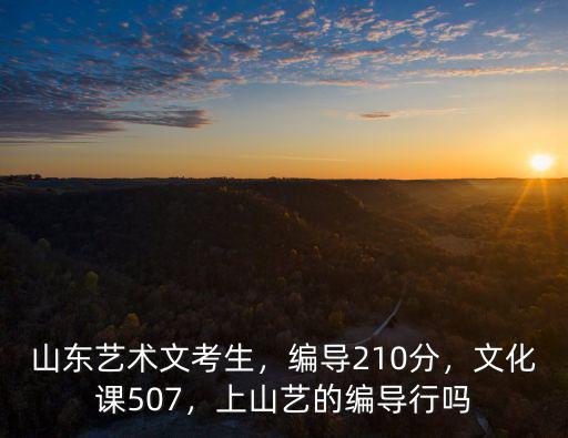 山東藝術文考生，編導210分，文化課507，上山藝的編導行嗎