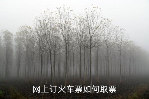 深圳火車站網上訂票怎么取票,網絡訂票成功后