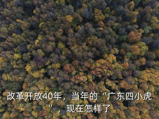 改革開放40年，當年的“廣東四小虎”，現在怎樣了
