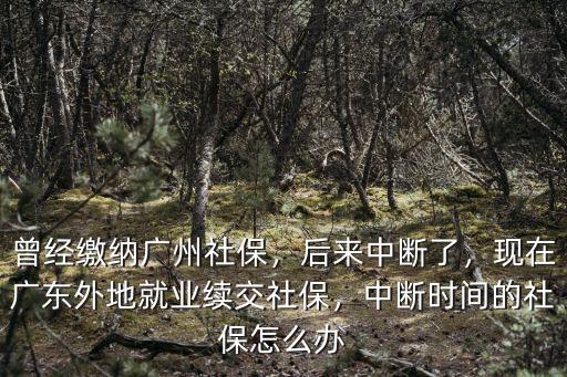 廣州醫保中斷了怎么辦,中斷時間的社保怎么辦