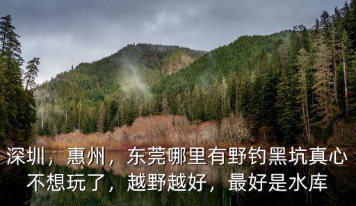 惠州龍溪大橋哪里好釣魚,惠州這時候怎么好釣魚